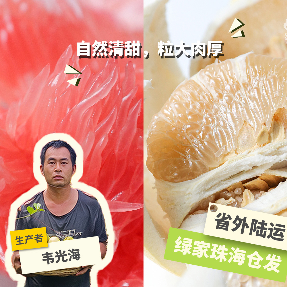 生态琯溪蜜柚（广西）白柚+红柚 3kg 绿手指份额农园