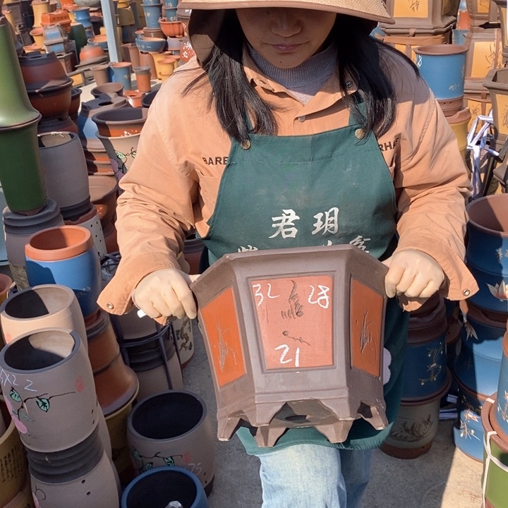 紫砂花盆盆栽花卉苗木种植