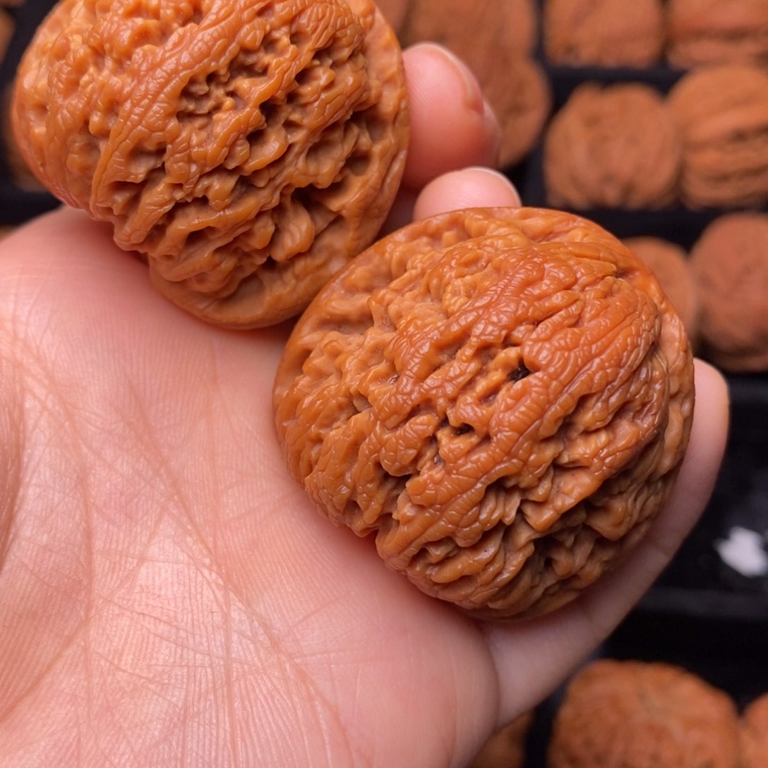 文玩核桃把件秦岭野生核桃