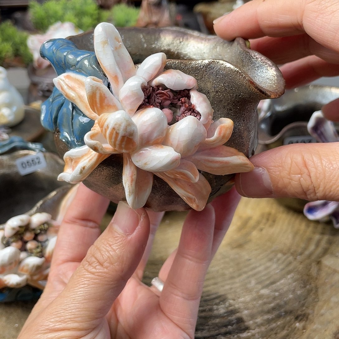 荷花作品作品作品原文538