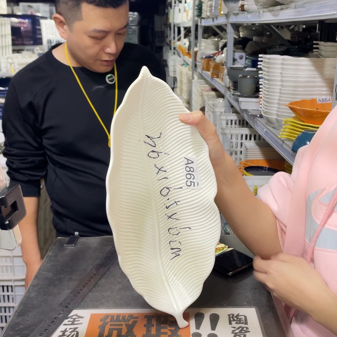 瓷片865                   1个