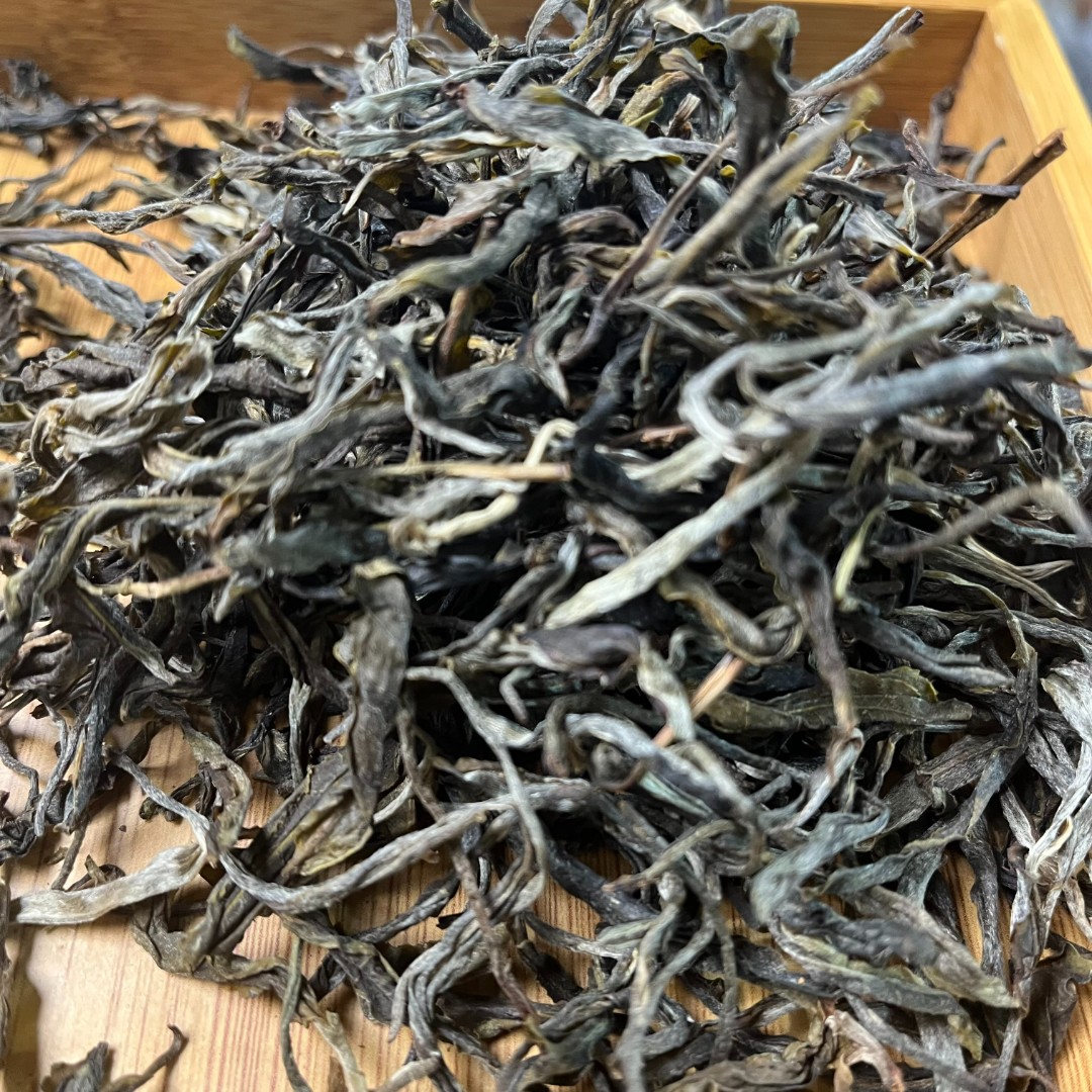 【2.19】荒山古树  2024年头春  普洱茶 生茶 散茶 【53号】