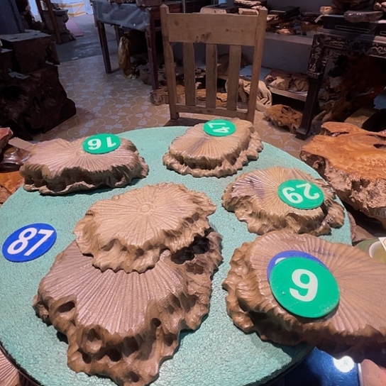 啊***～四川省成都市金丝楠