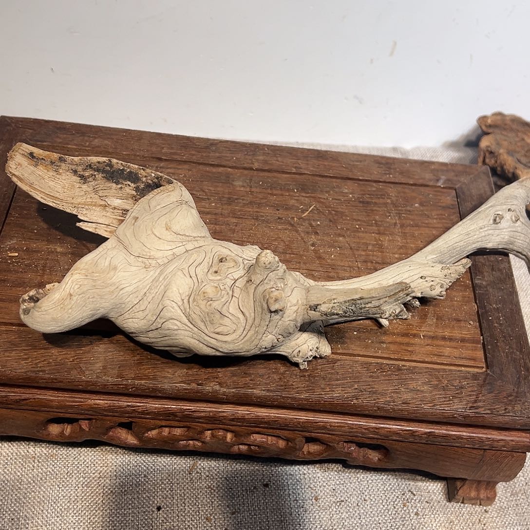 风***静木崖柏888888888888