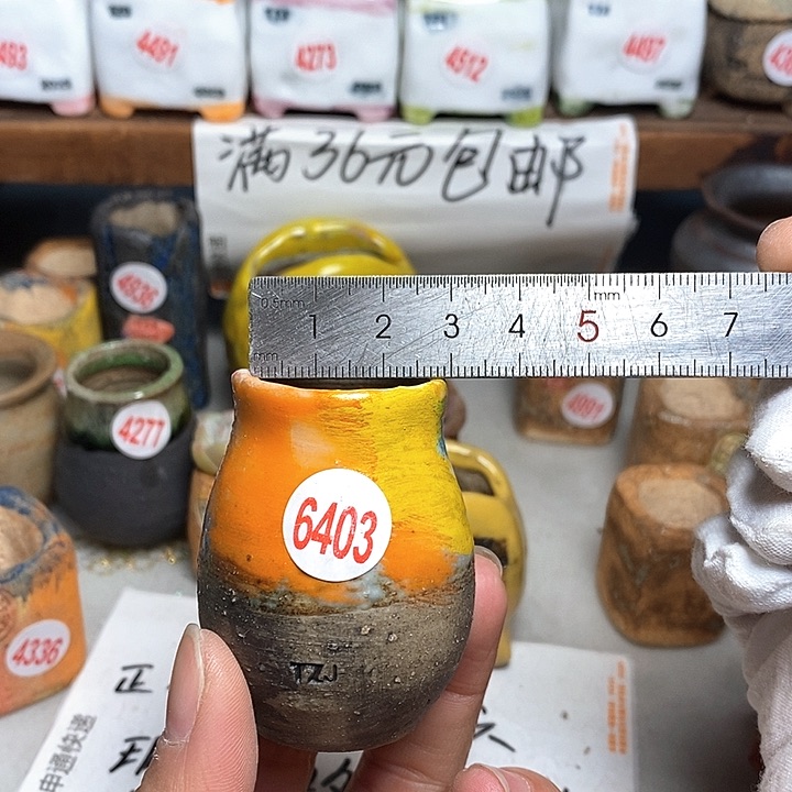 红陶拍5送一个小