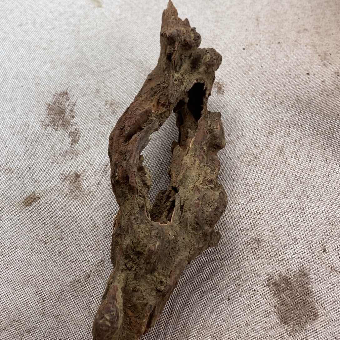 半***庭黄花梨/降香黄檀黄花梨随形料子