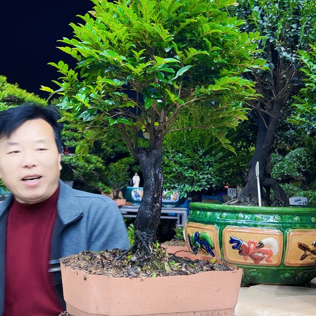 以实际为准马12345678