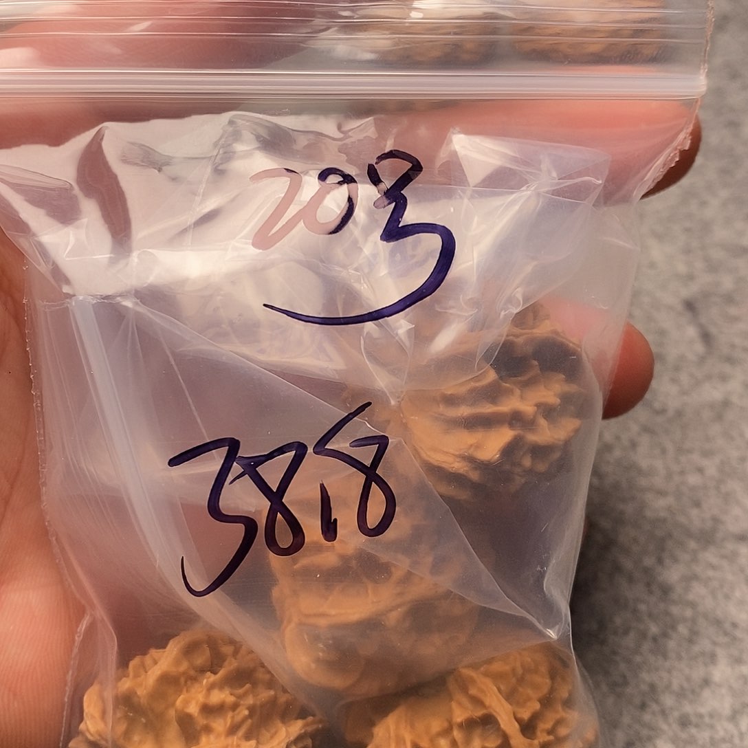 文玩核桃把件淡**云三棱
