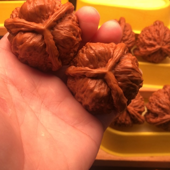 眸***灬核桃核桃核桃套核桃核桃核桃