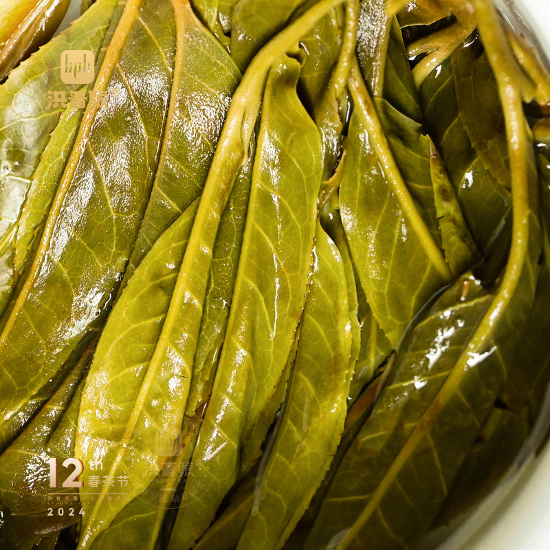 2023年头春易武弯弓挑采普洱生茶散茶200g