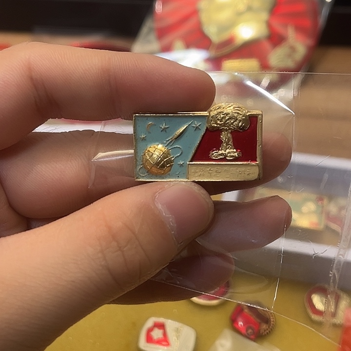 收***家像章一一一一一高贵轻
