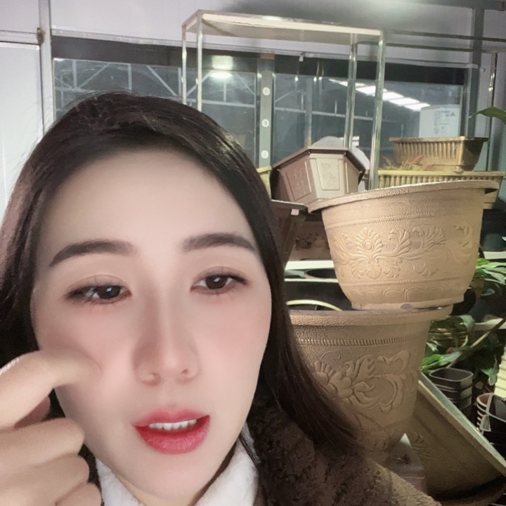 圆60口径花盆两个