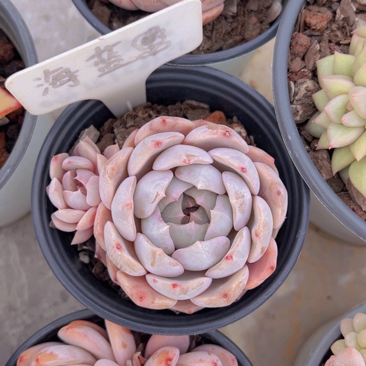 健健康康平平安安