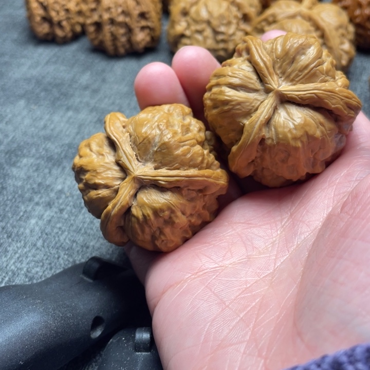 真****手工三棱蛤蟆头三棱