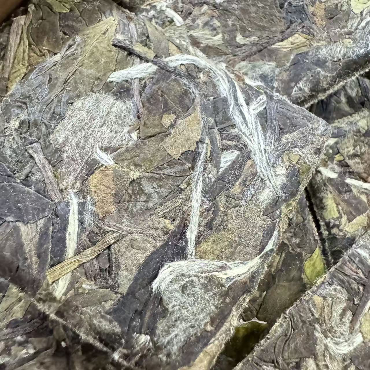 【江缘】福鼎白茶·2021年白牡丹·牡丹方片·荒野高山·花香