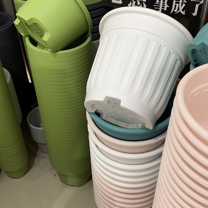 罗马口32高28白3个