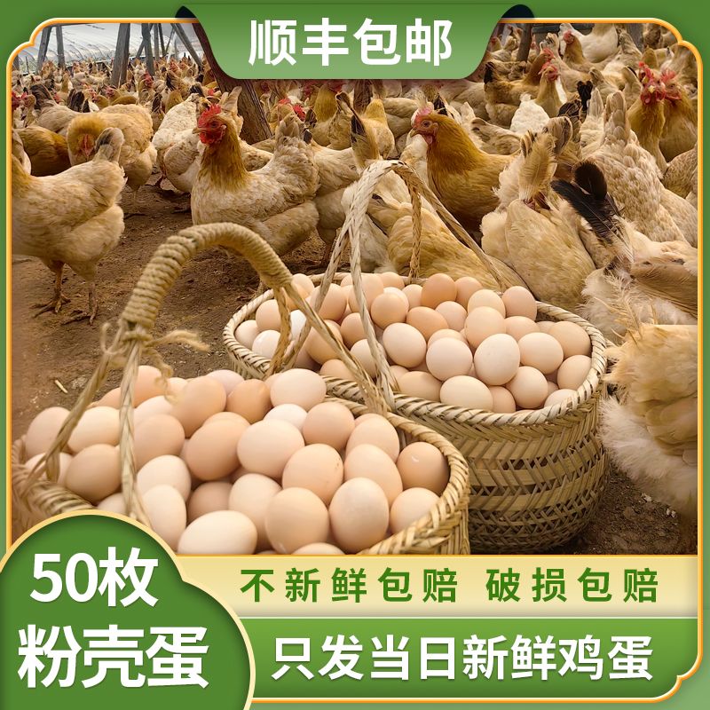 50枚粉壳正宗农家散养土鸡蛋4.5斤~5斤月子蛋 草鸡蛋 现捡现发