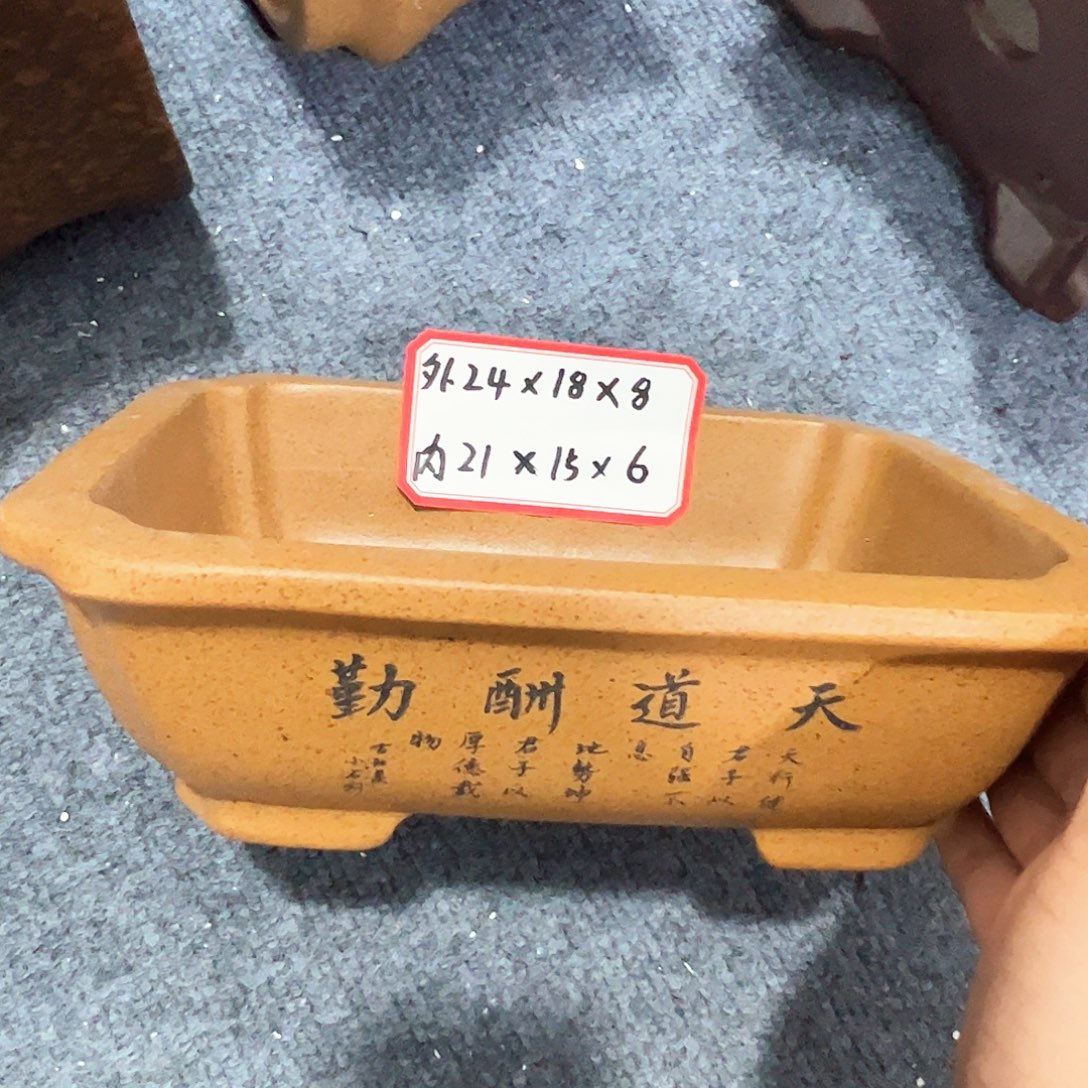 紫砂其他紫砂花盆