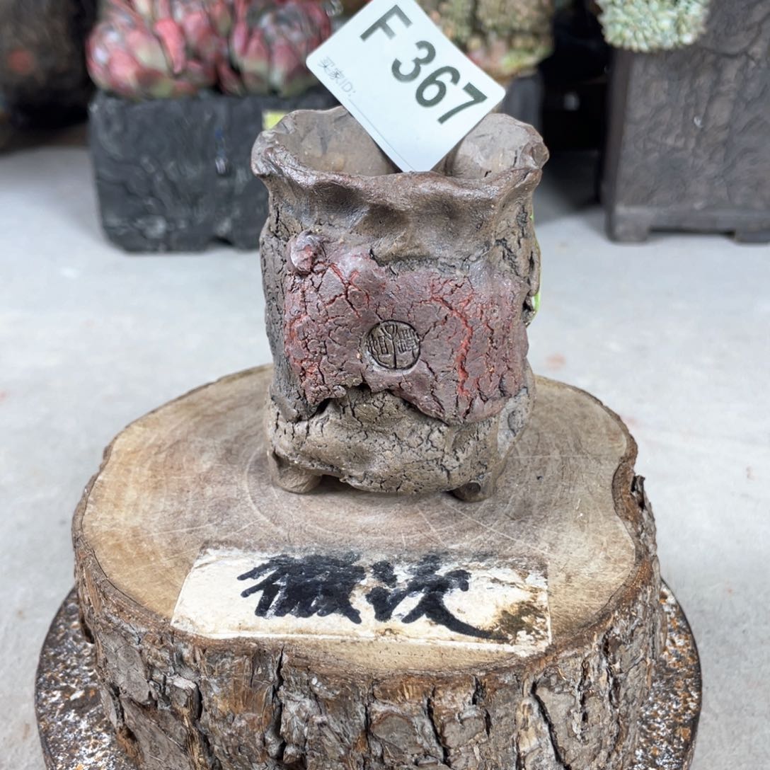 紫砂花盆开播福利 陶瓷花盆