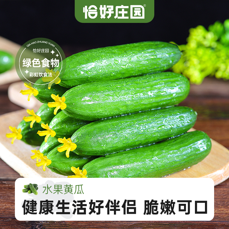 【恰好庄园】河南水果小黄瓜3斤生吃脆甜嫩新鲜蔬菜山东脆嫩包邮