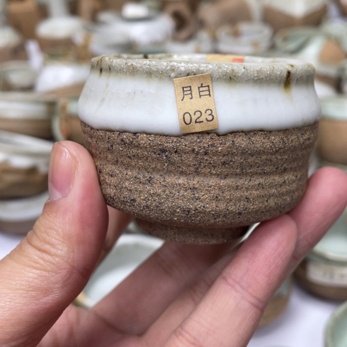 【闪购商品】壶老段烧陶瓷茶器！