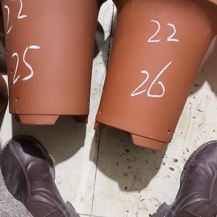 紫砂花盆破损包赔