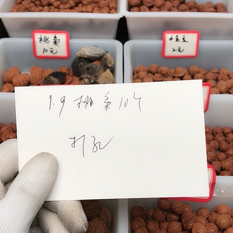 桃核吊坠无**味龙纹桃核的搭配