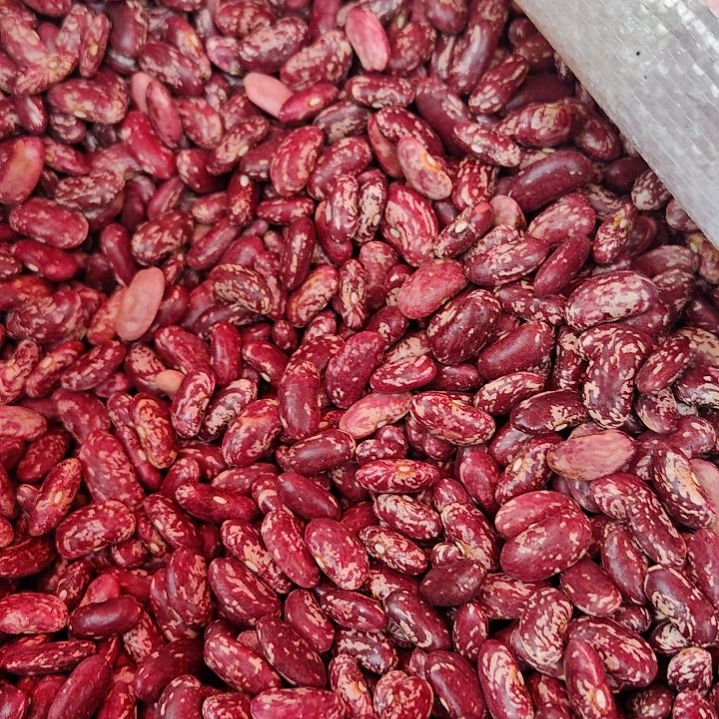 中国大陆化作本地花豆10斤装