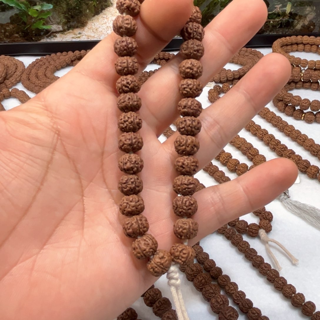 金刚菩提手串纯血老树王