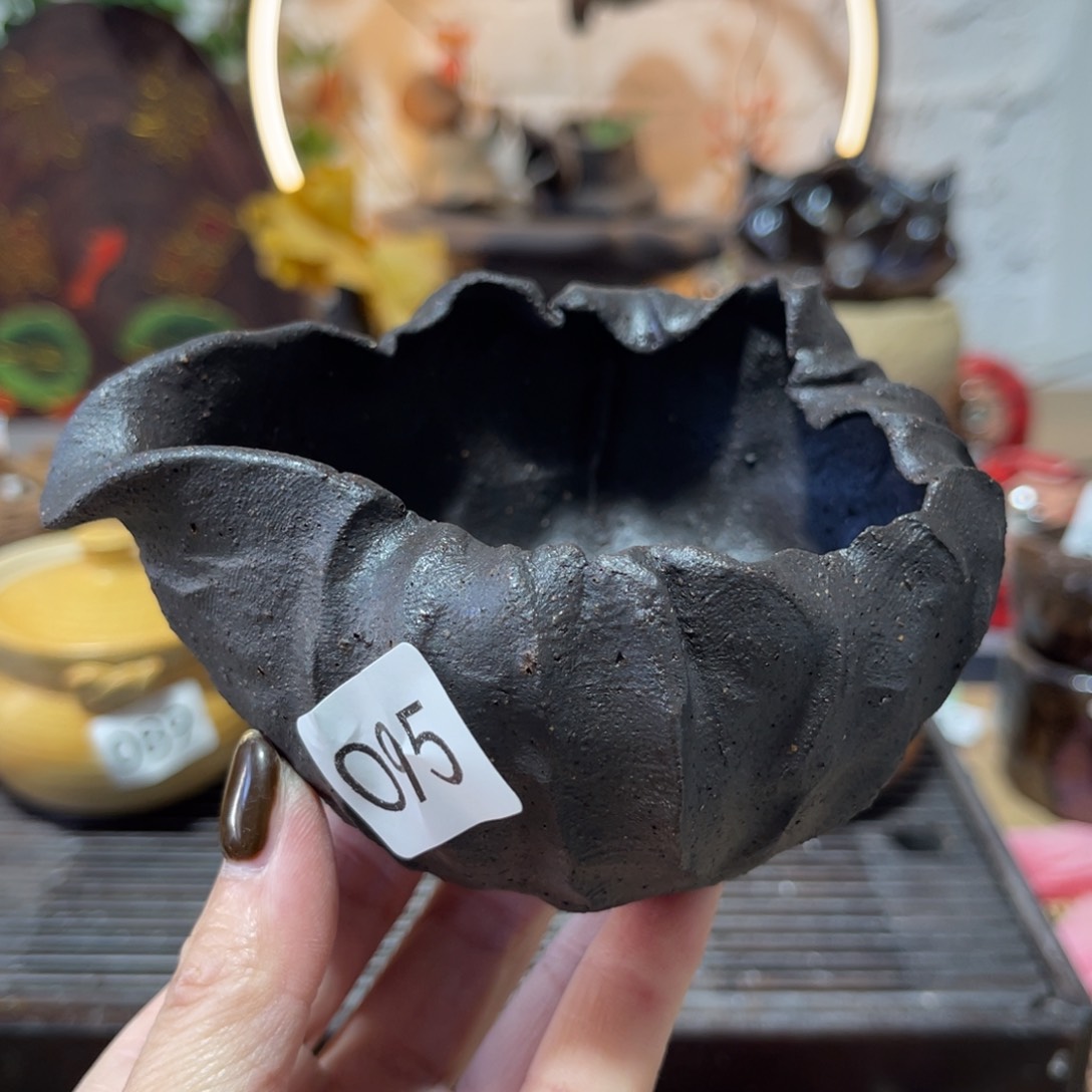 木村信弘柴烧保平