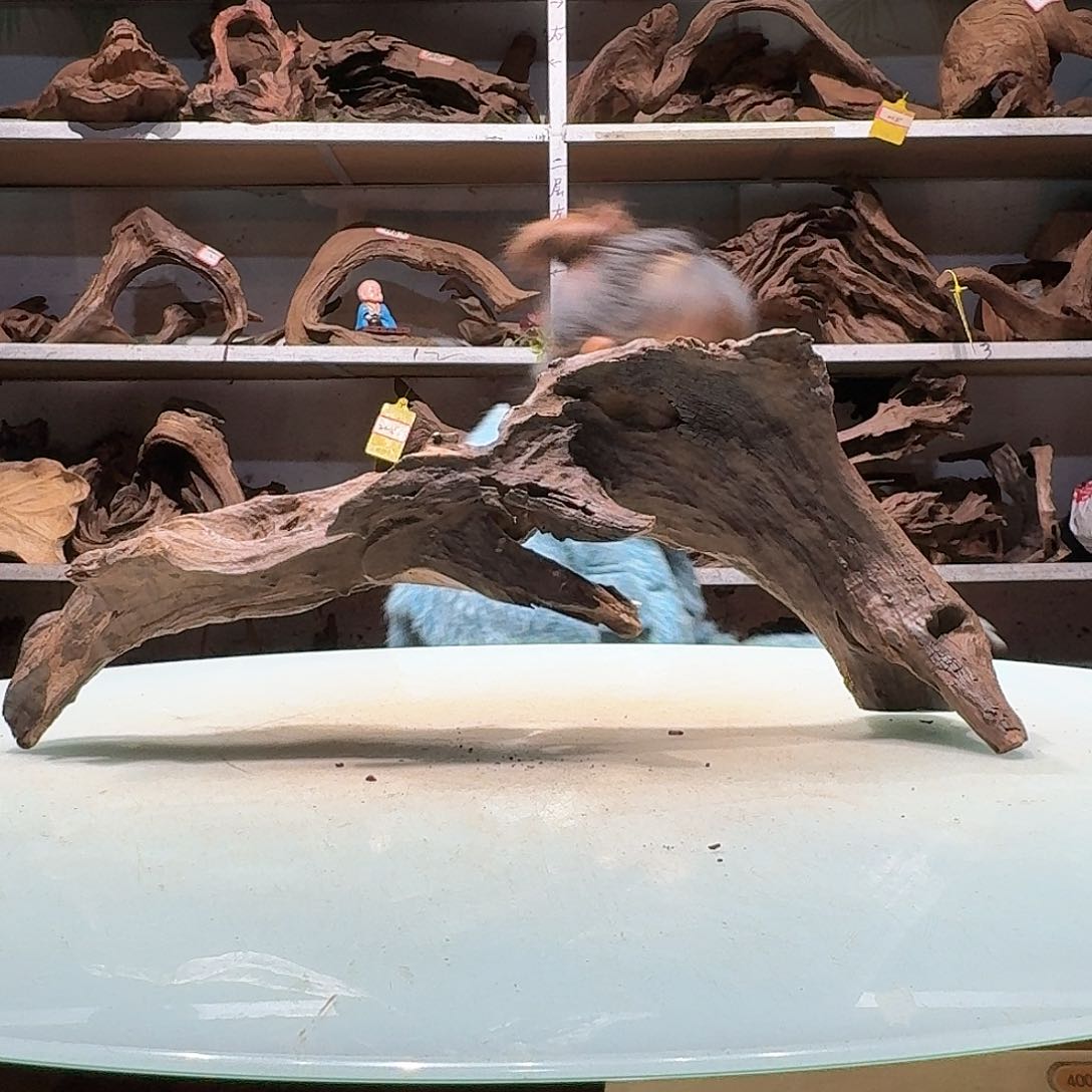 倍褚沉木不包损必褪色小*丶6854