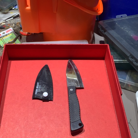 鱼头钓鱼用开始拍啦