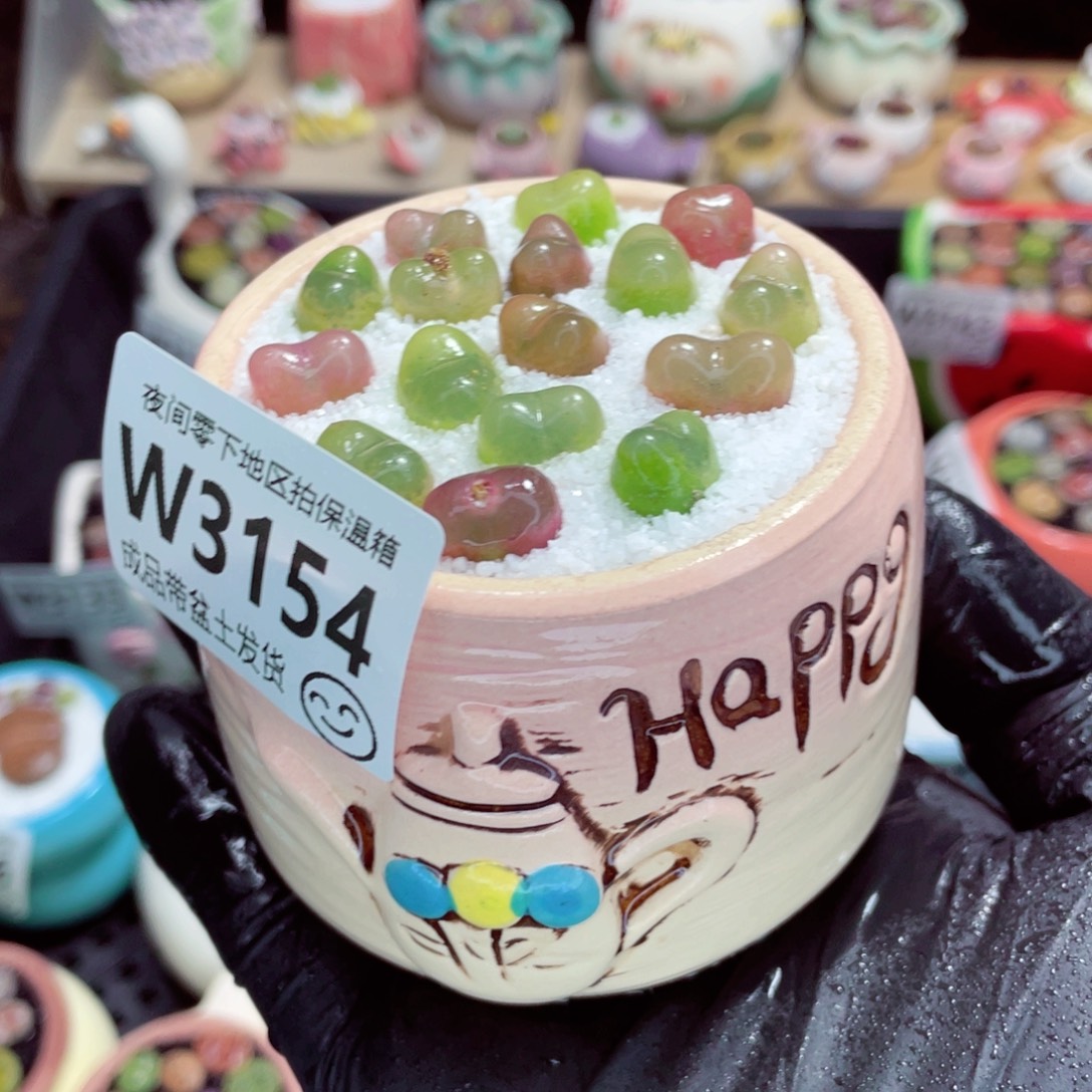 夜间零下地区拍保温箱w3154