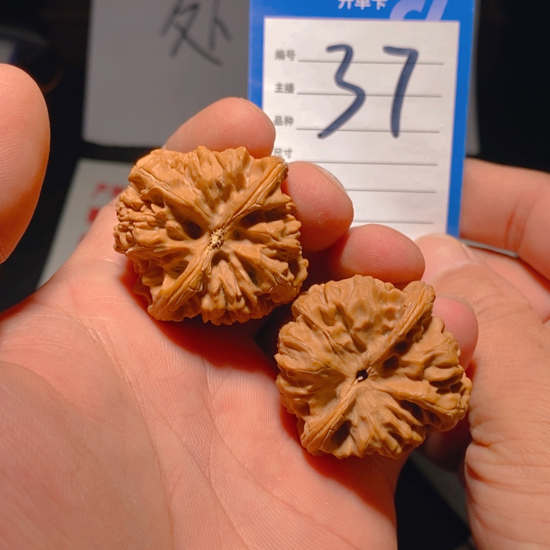 把件文玩核桃37.5野牛有修