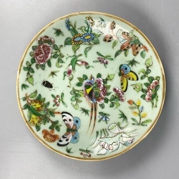 022051739 清中期 豆青釉粉彩蝶恋花盘/FD/云南省文物总店