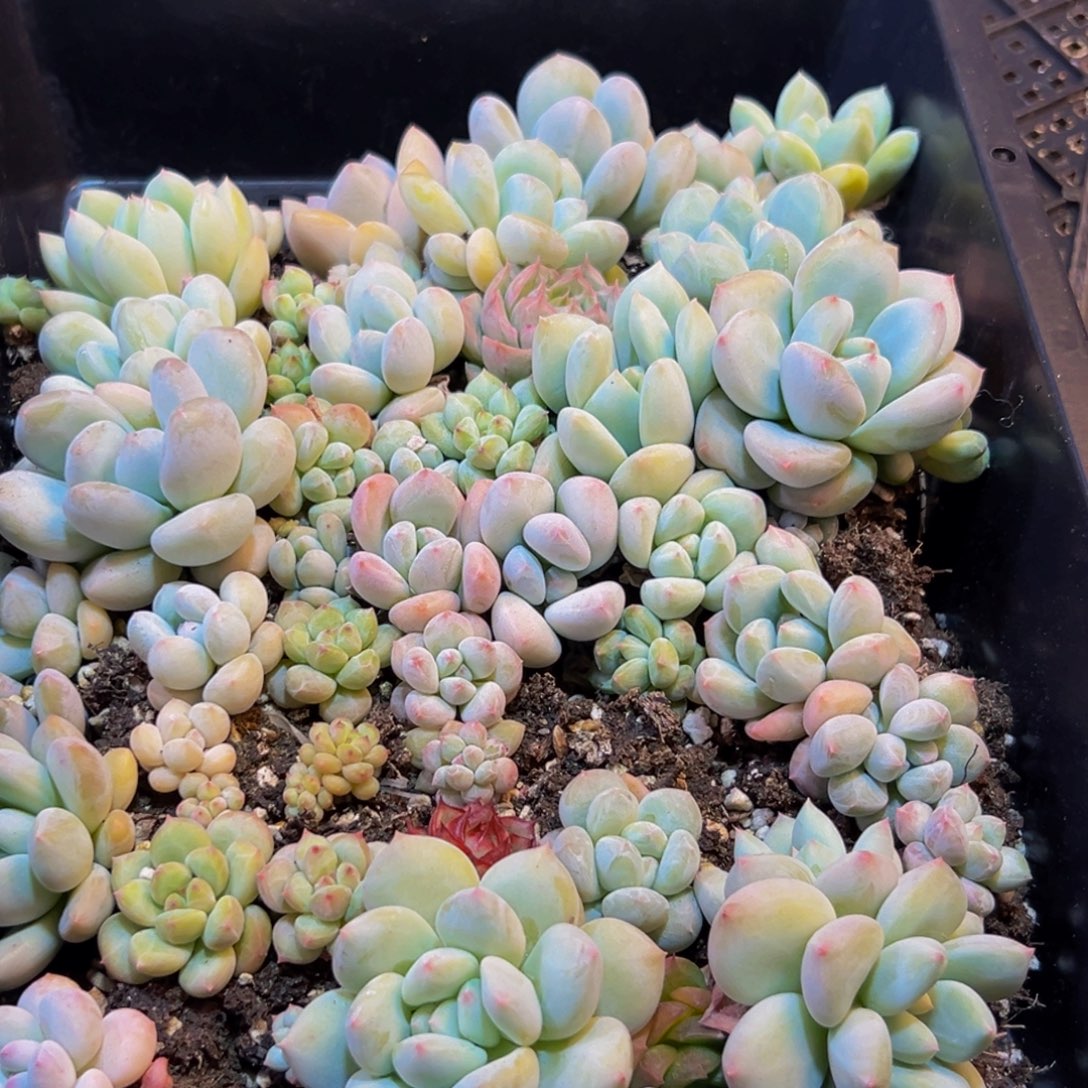 189的人了吧哈哈哈哈哈哈哈哈哈哈哈