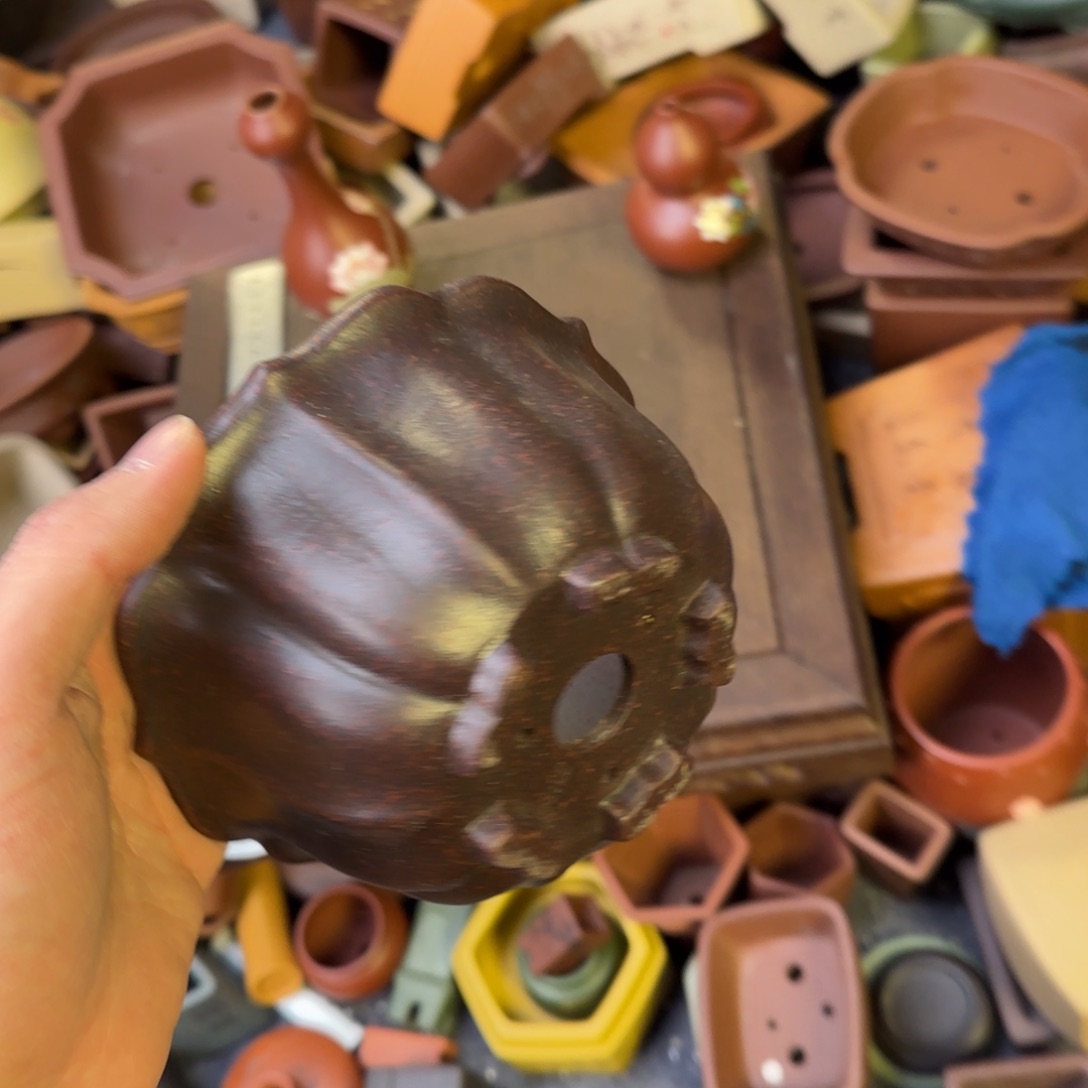 泥塑12+6vvvvvvvvvvvvv