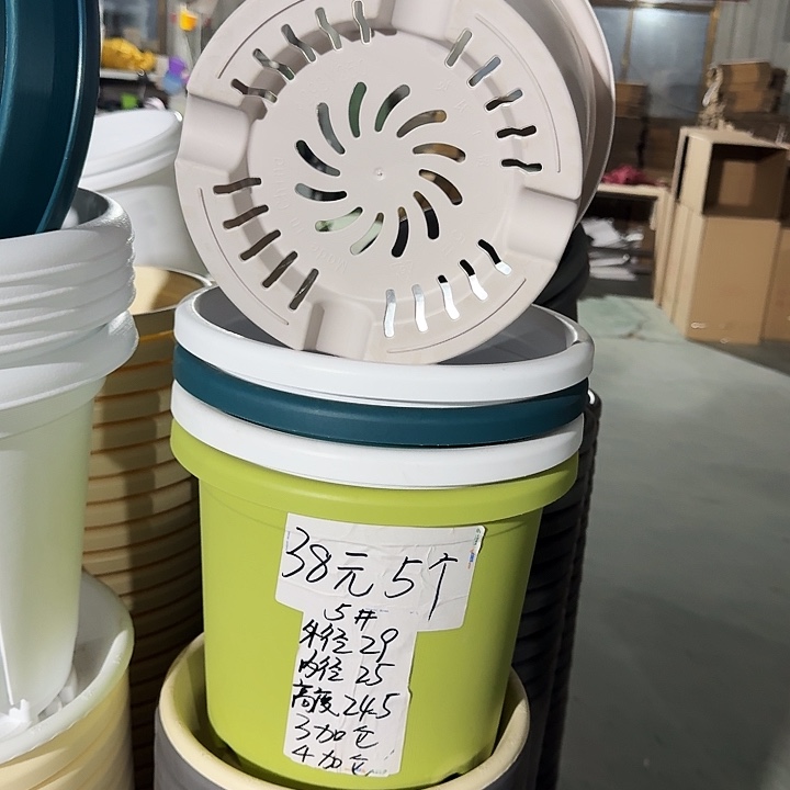 四季5#口径29灰白10个无托