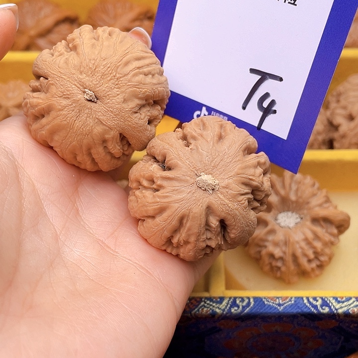 把件文玩核桃.*.文玩核桃霸王龙4