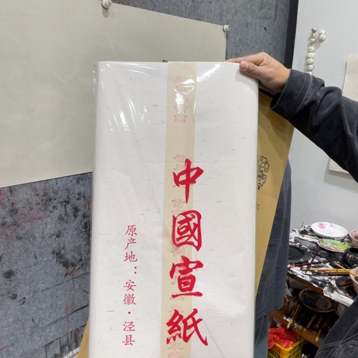 李军老师花鸟专用