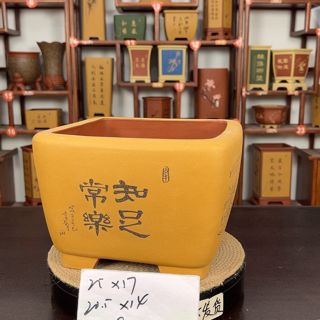 紫砂花盆紫砂花盆