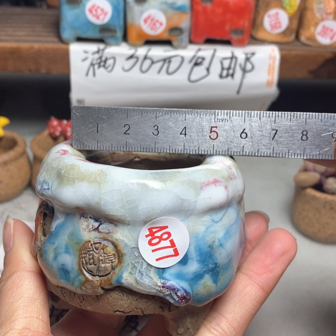 红陶拍3送一个小