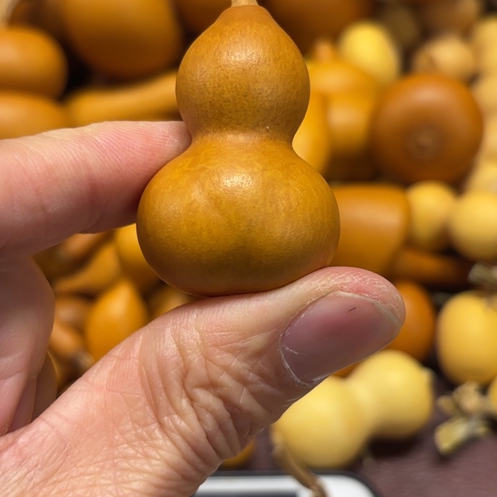 荧*迎接了一把小金铲葫芦
