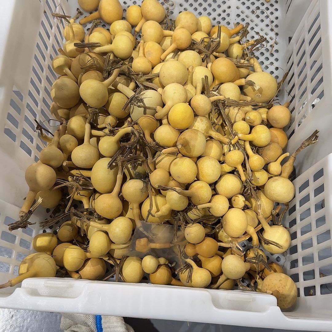 疯***鸟木150哥独霸123466