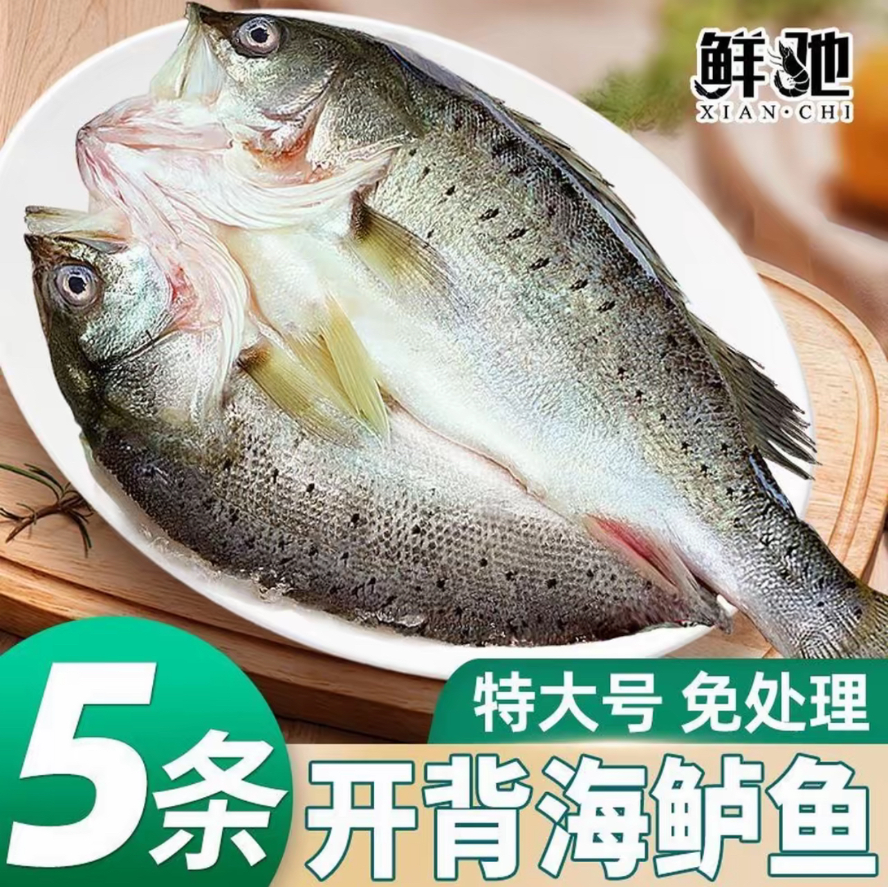 开背海鲈鱼  400-500g/条 去鳞去鳃去内脏 美味生鲜鱼