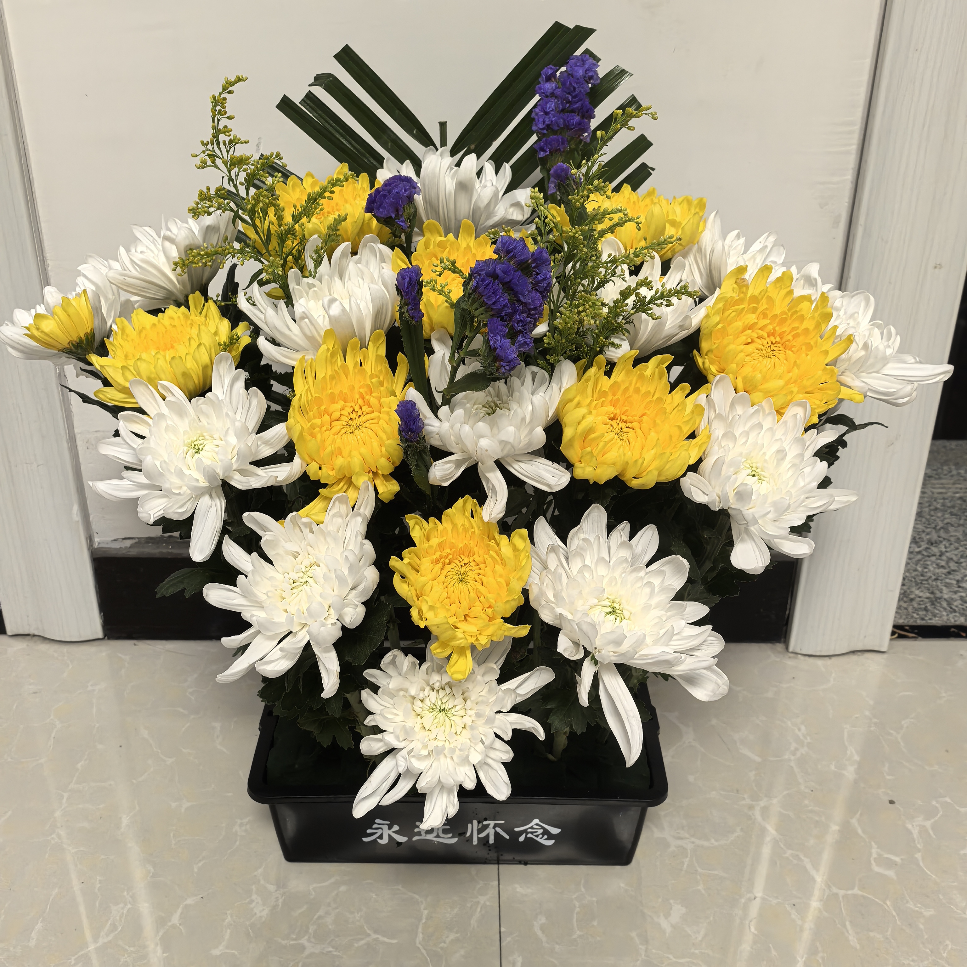 19枝混搭新鲜黄白大菊花篮现采现发基地直发