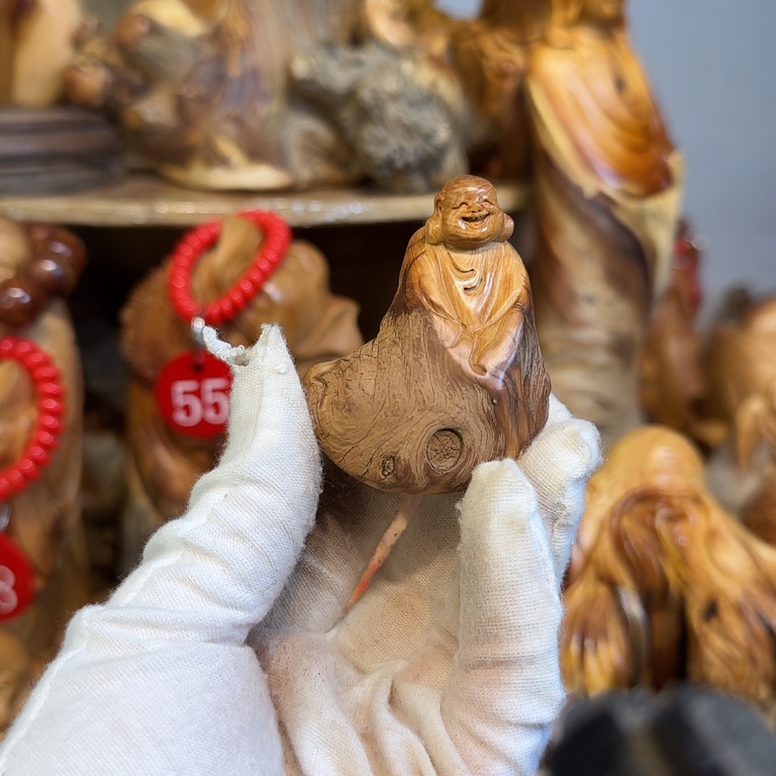 柏木（崖柏）66666666666