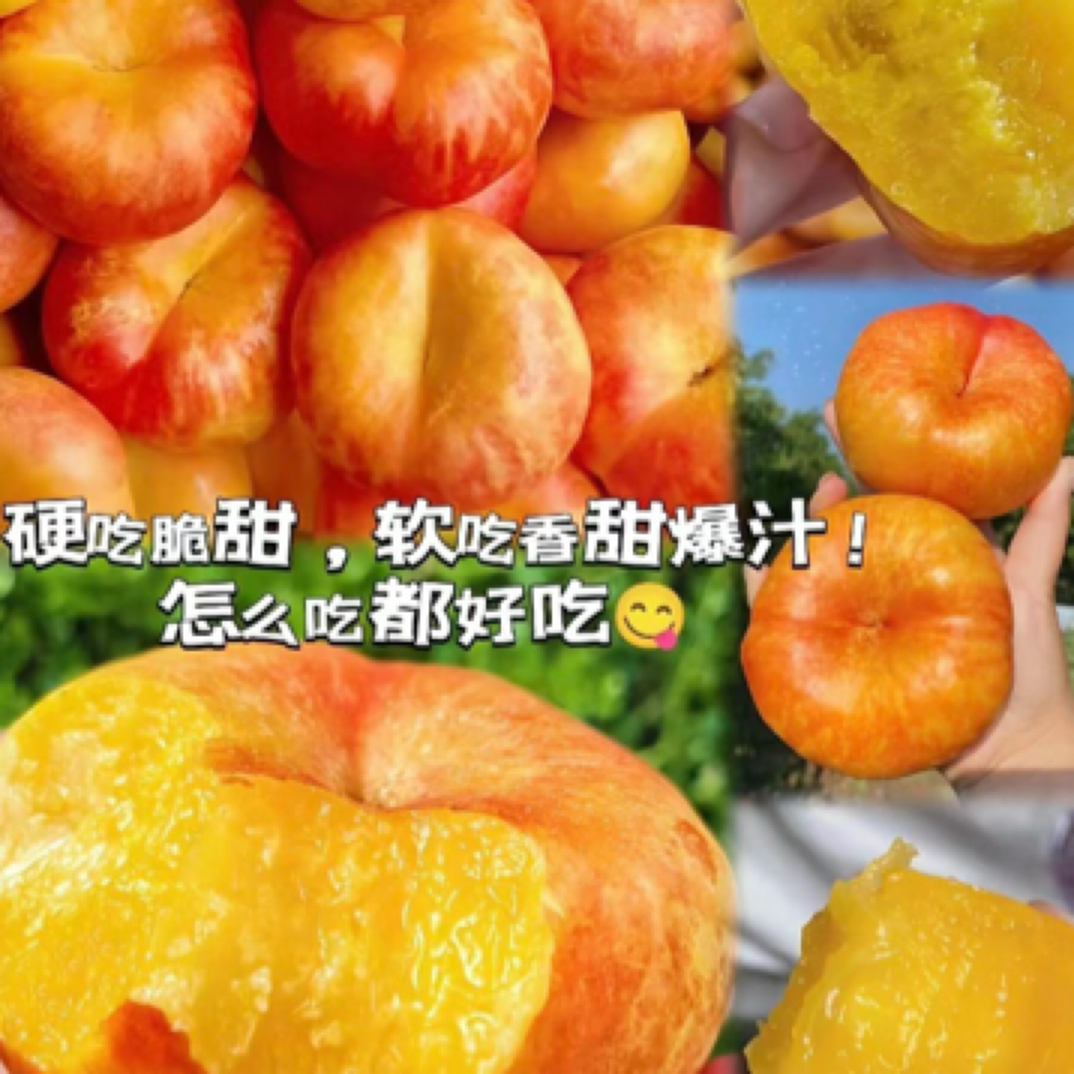 黄金油蟠桃1000g山东省