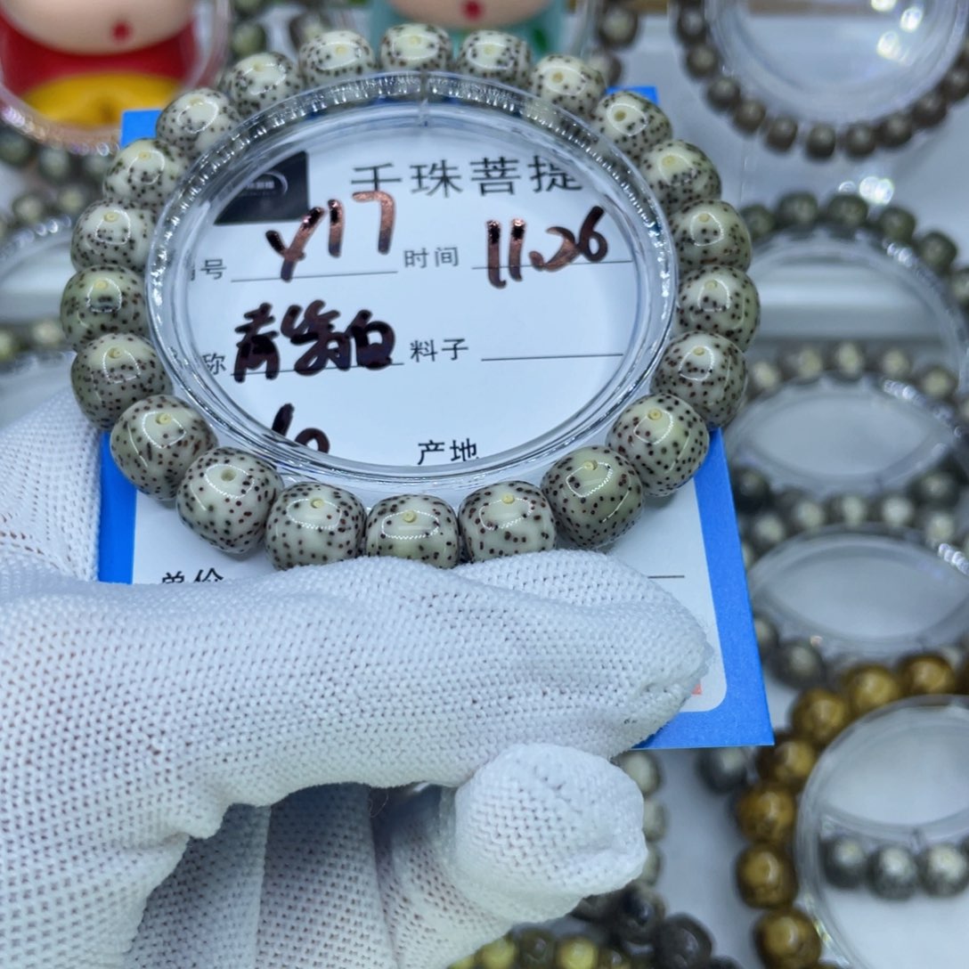 菩提籽类Y17青瓷白