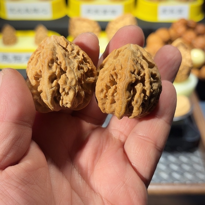 把件桃核粗筋官帽（秋子）（开播福利）